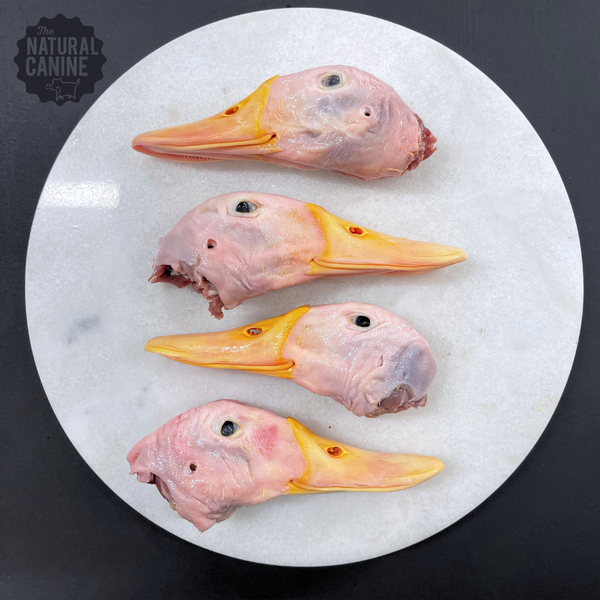 Duck Heads - 5 per Pack (Frozen)