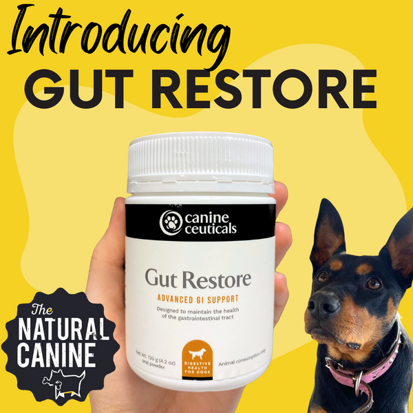 Gut Restore - 120g- ADVANCED GI SUPPORT Designed to promote and maintain the health of the gastrointestinal tract