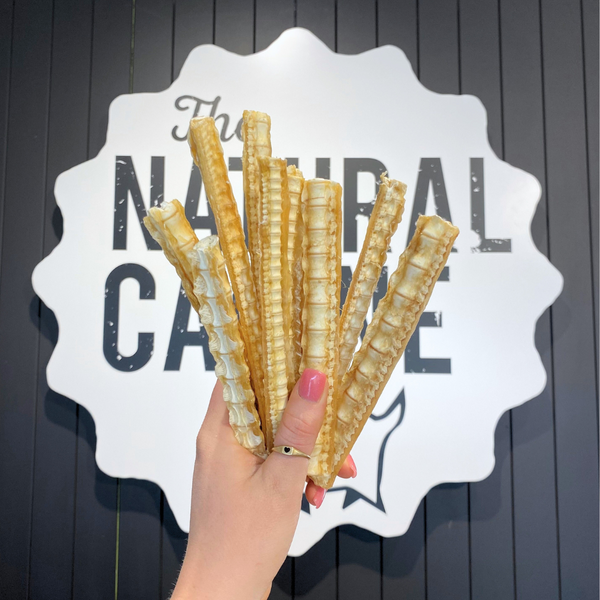 Dried Shark Cartilage - 200g