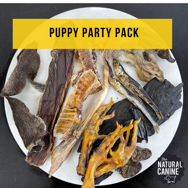 Puppy Party Pack - Dried Treats Mixed Variety