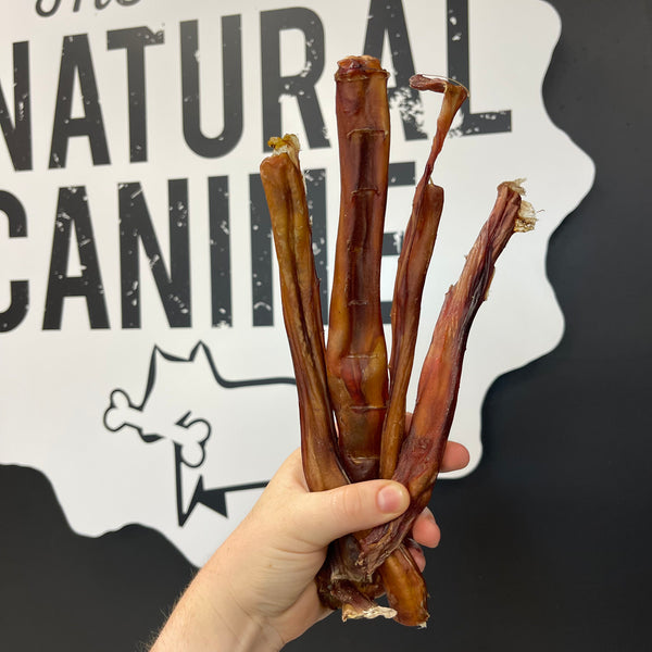 Dried Beef Pizzle (Bully Sticks)