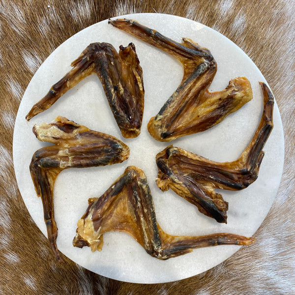 Dried Duck Wings - 5 each