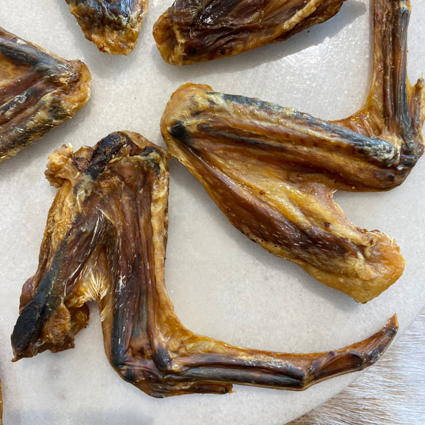 Dried Duck Wings - 5 each