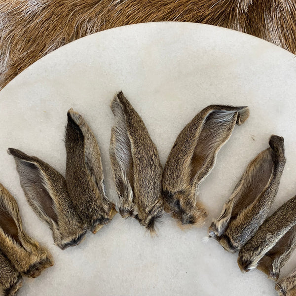 Dried Rabbit Ear (Fur on)