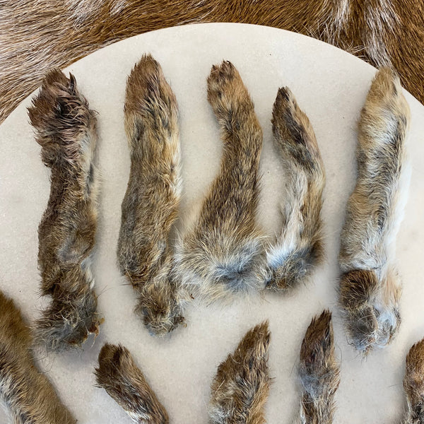 Dried Rabbit Feet (Fur on)
