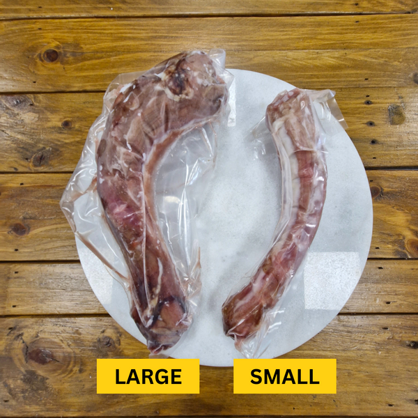 Turkey Neck - Frozen