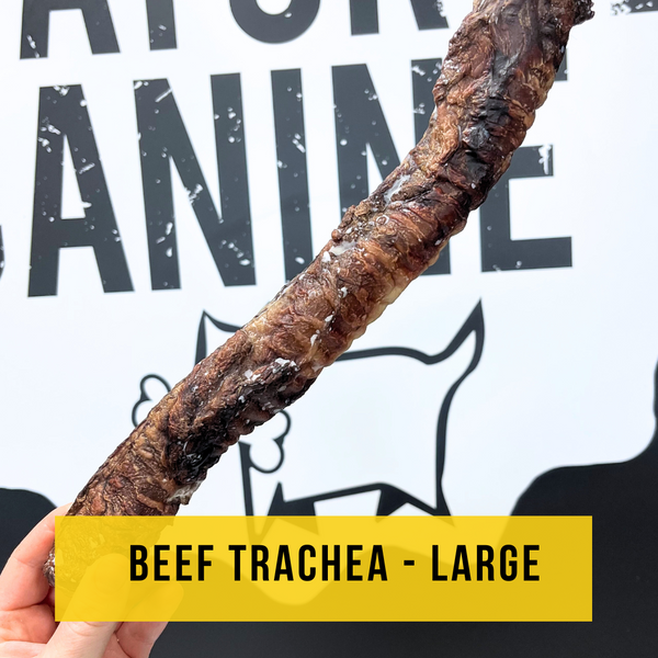 Dried Beef Trachea