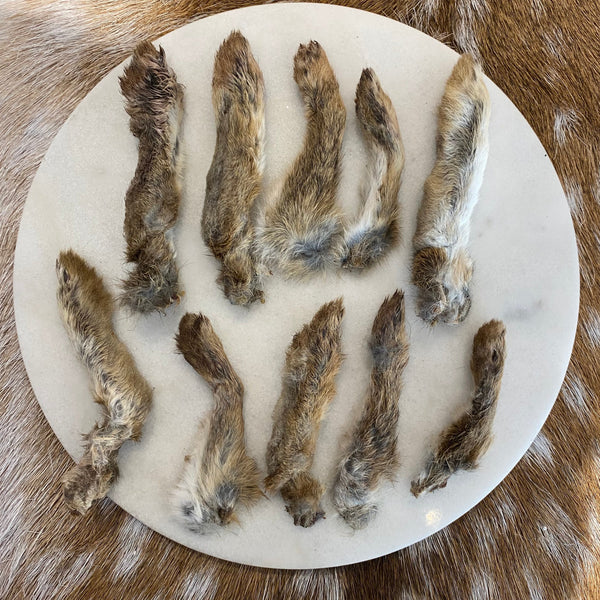 Dried Rabbit Feet (Fur on)