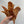 Dried Chicken Jerky - 250g
