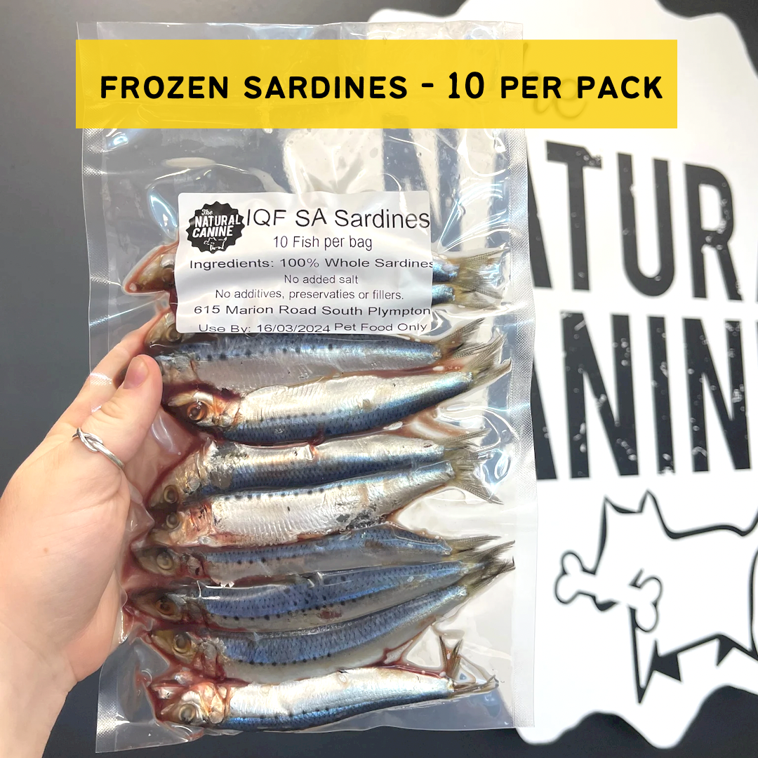 Frozen Sardines - 10 Per packet – The Natural Canine